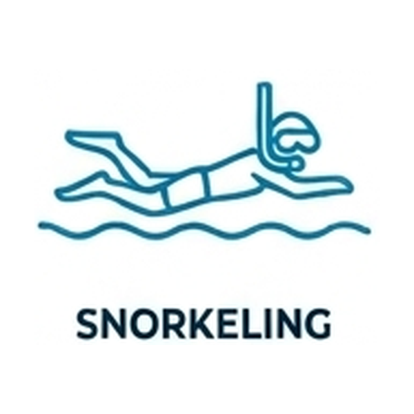 Snorkeling Tours Cancun