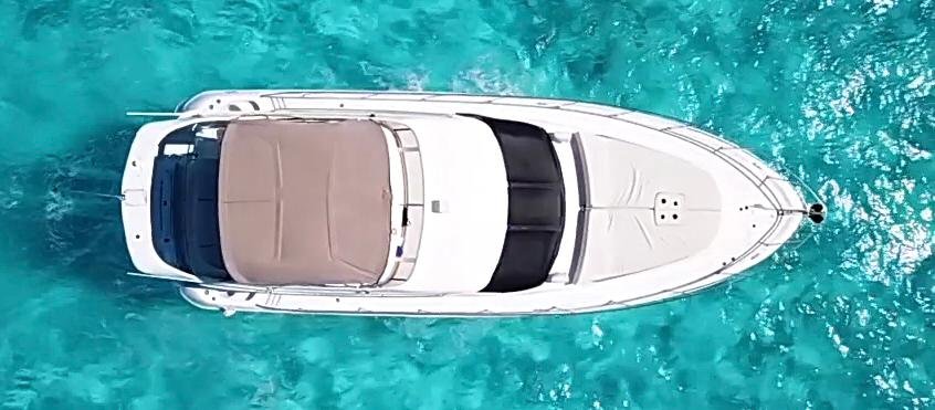 Flycatcher - Photo 2