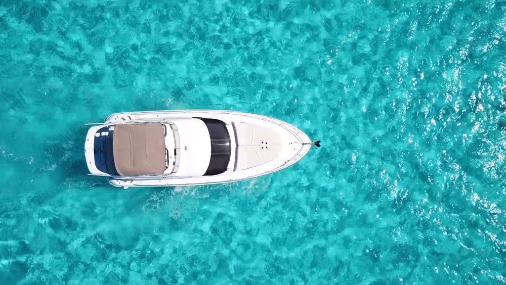 Flycatcher - Photo 3