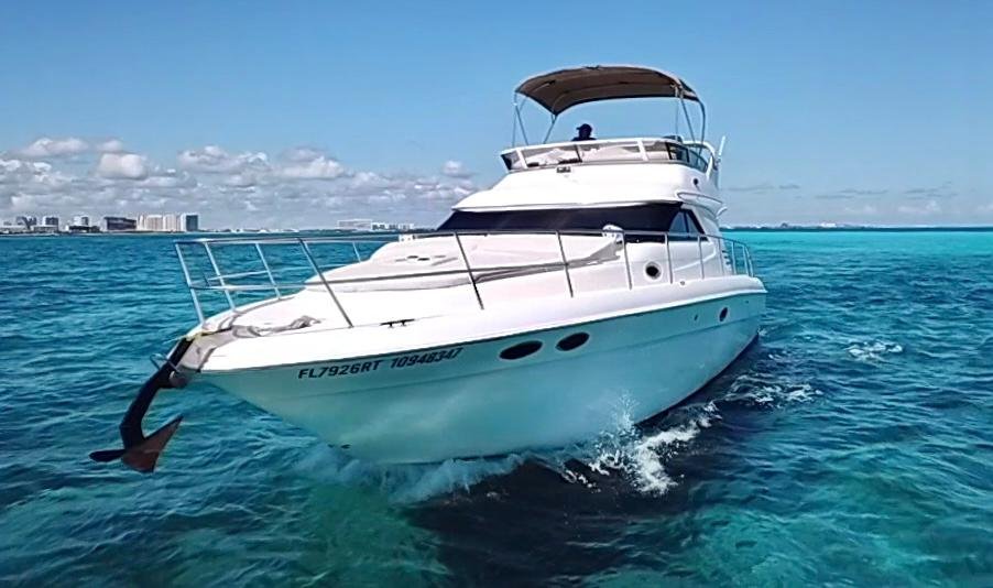 Flycatcher - Photo 4