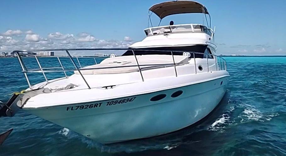 Flycatcher - Photo 5