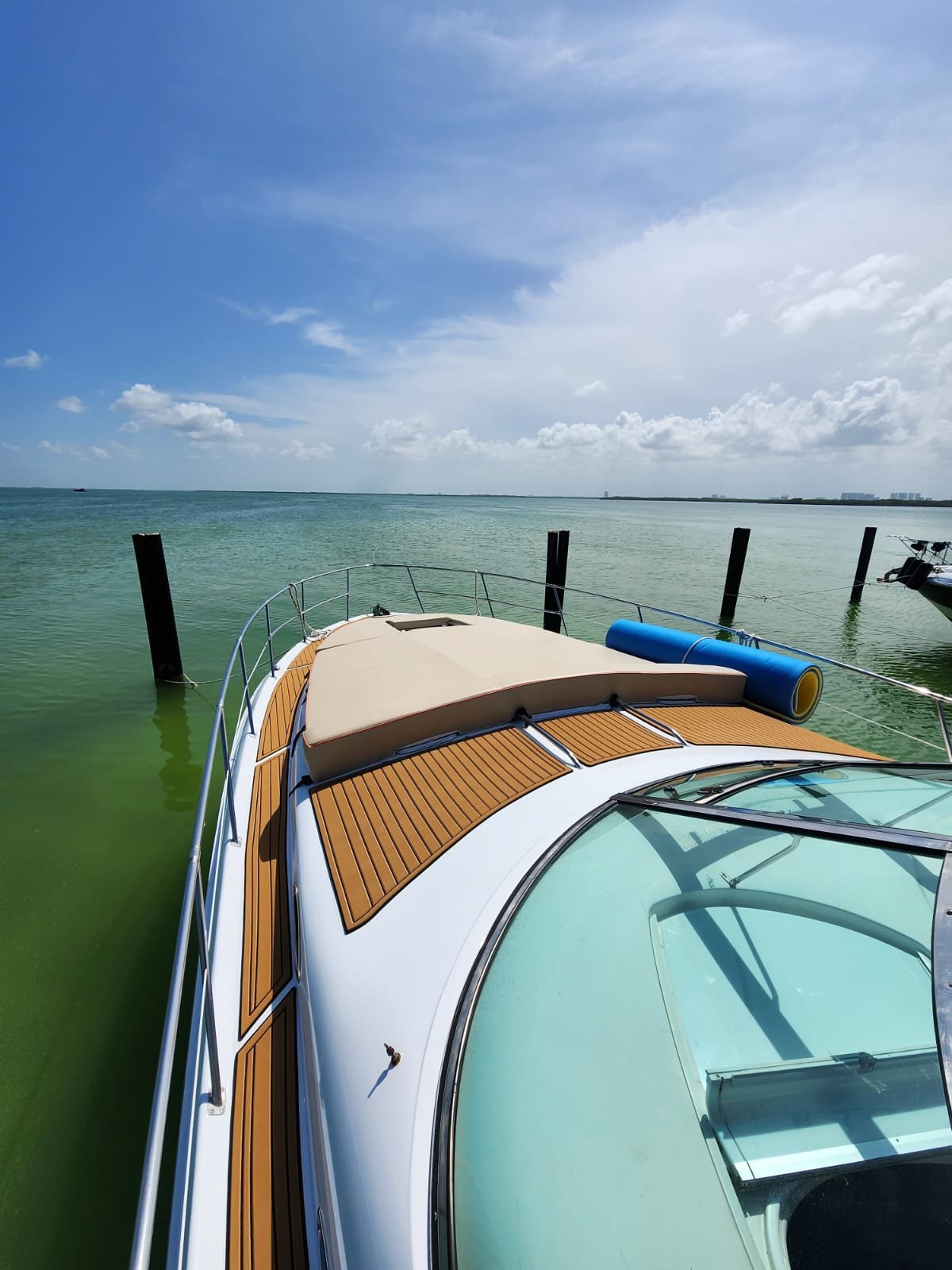 Sensus Vitae - Photo 3